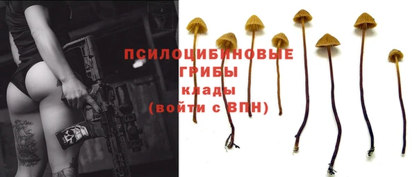 альфа пвп Богданович