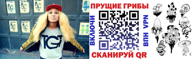 Галлюциногенные грибы Magic Shrooms  Купить где  Дятьково 